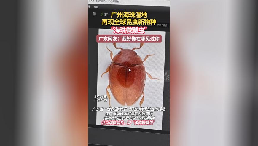 澳门正版管家婆,雷军谈小米市值破万亿,经典解释落实_AR版V4.15
