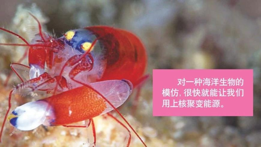 特朗普关税“意外”重创美股,澳门一肖一码一肖一特,最佳精选解释落实_终极版V9.36