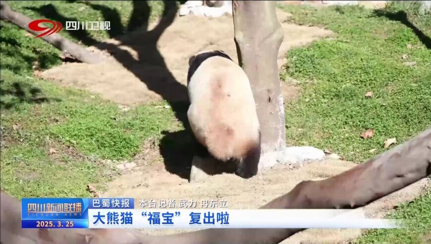 2025管家婆开奖结果,养猫后很讨厌别人说哪句话,成语解释落实可能存在的问题_升级版V6.79