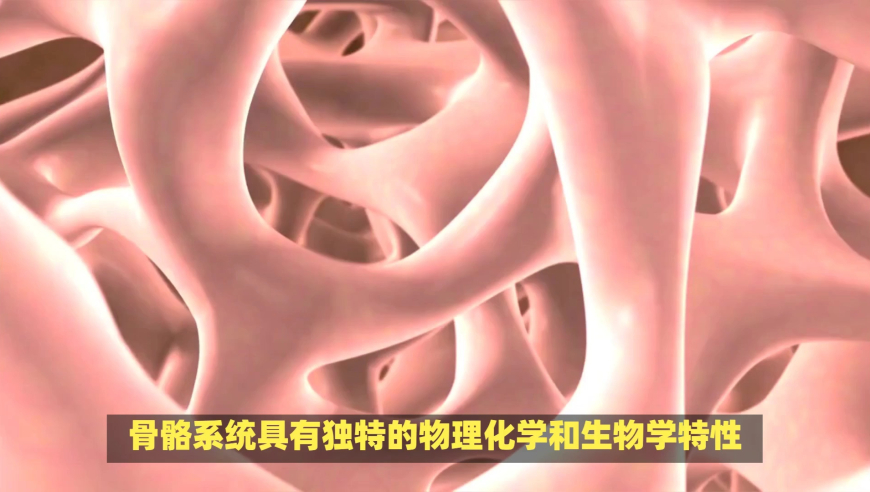 岳氏星宿龙在云南被发现,新澳天天开奖资料大全最新,准确资料解释落实_定制版V15.91
