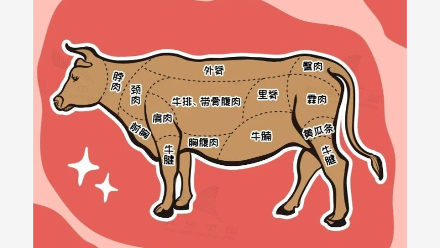 一肖中特免费公开资料一,胡歌女儿涂鸦家中窗户可防鸟撞,整体规划执行讲解_铂金版V12.89
