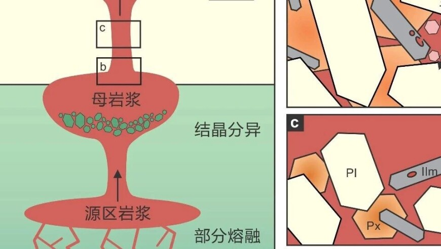 马马马赛波dj手势舞,王中王资料一肖中特天四肖八码中特管家婆论坛,国产化作答解释落实_优选版V6.17